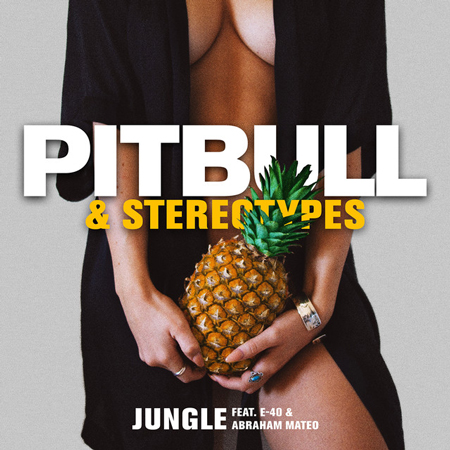 Pitbull & Stereotypes “Jungle” ft. E-40 & Abraham Mateo (Video Clean Version)