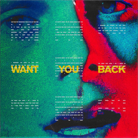 5 Seconds of Summer “Want You Back” (Sounds Like Friday Night)