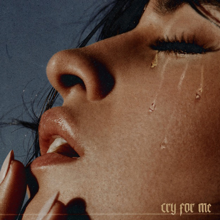 Camila Cabello “Cry for Me” (Performance Saturday Night Live)