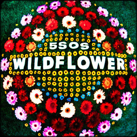 5 Seconds of Summer “Wildflower” (The Late Late Show with James Corden)